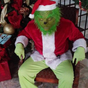 Grinch Holiday Entertainment - Holiday Entertainment in Julian, North Carolina