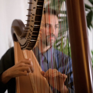 Gennaro Porcaro - Harpist / Celtic Music in Concord, California