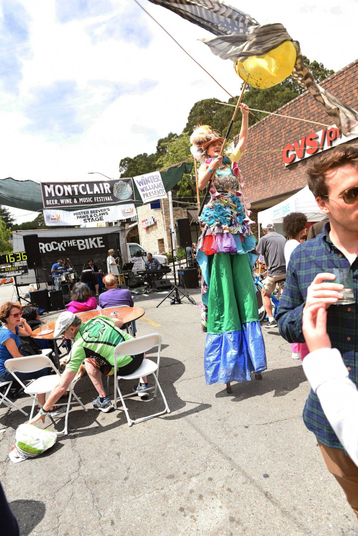 Hire Giant Puppets Save the World Educational Entertainment in Grass