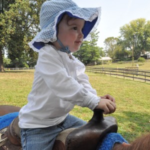 Giddy-up! Pony Rides!