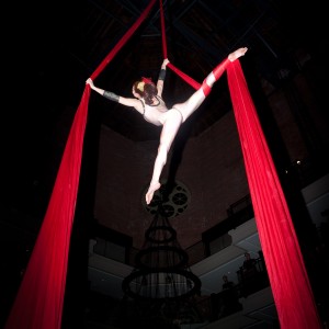 Gina DeFreitas - Aerialist in Boston, Massachusetts