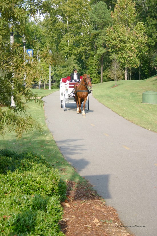 Gallery photo 1 of Glass Slipper Carriage Tours