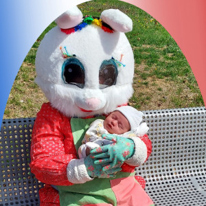 Spring Rabbit - Easter Bunny in Easton, Pennsylvania