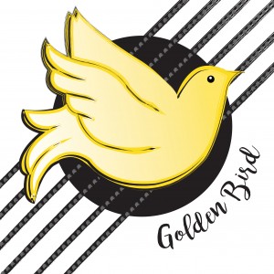 Golden Bird - Acoustic Band in Northampton, Massachusetts