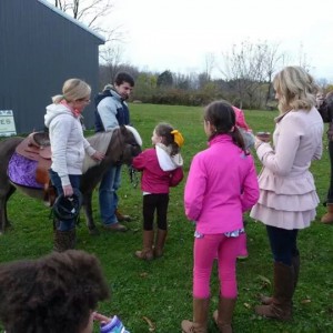 Golden Paws Pet Care Services - Pony Party in Derby, New York