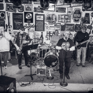 Gopherbroke - Blues Band / Soul Band in New Baltimore, Michigan