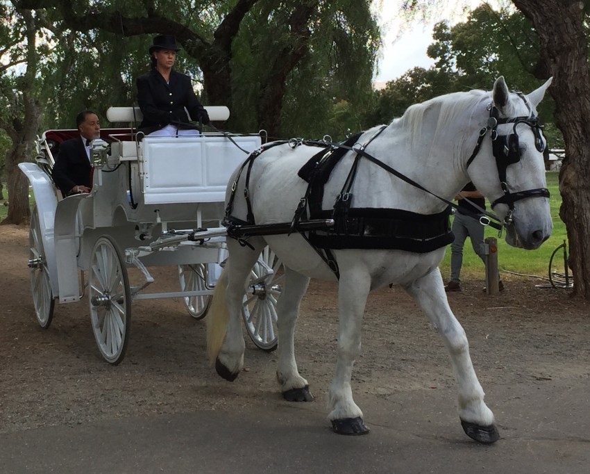 Hire Grand Carriages Horse Drawn Carriage in Livermore, California