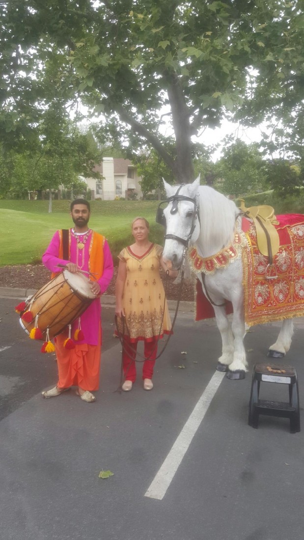 Hire Grand Carriages Horse Drawn Carriage in Livermore, California