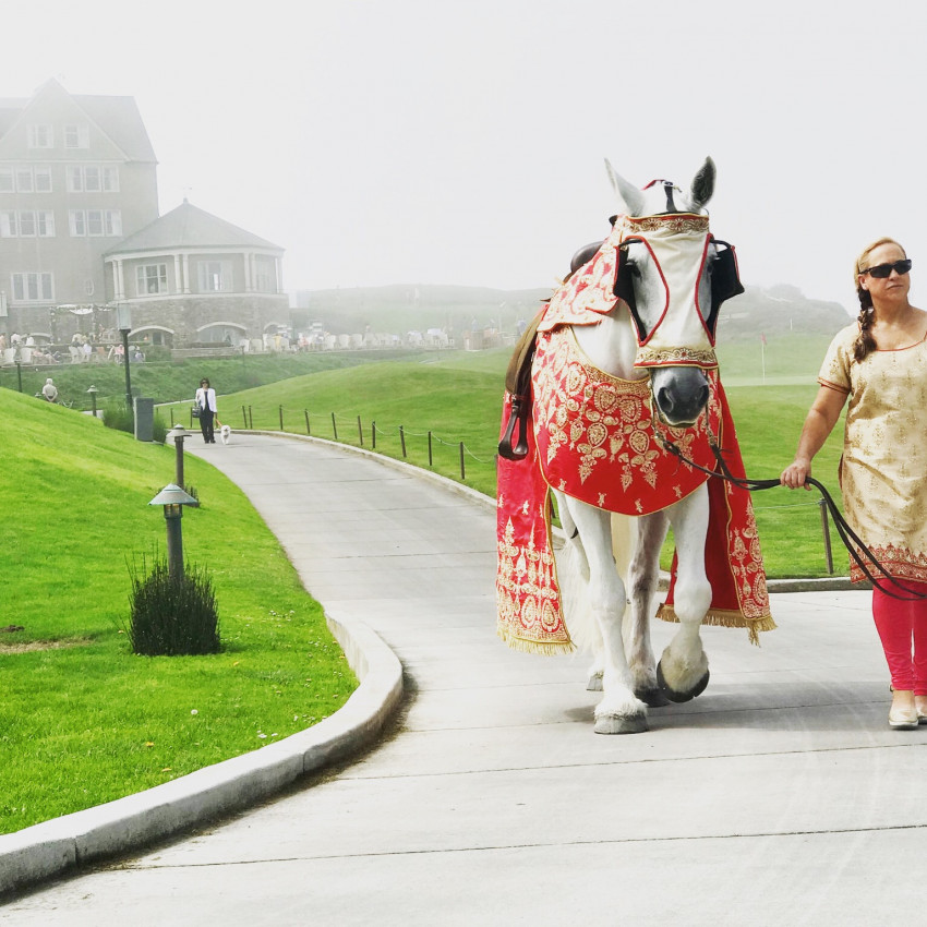 Hire Grand Carriages Horse Drawn Carriage in Livermore, California