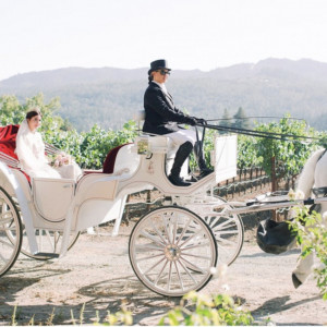 Grand Carriages - Horse Drawn Carriage / Wedding Services in Livermore, California