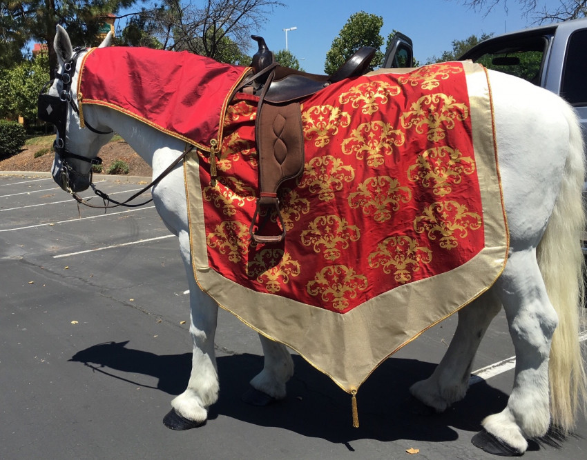Hire Grand Carriages Horse Drawn Carriage in Livermore, California