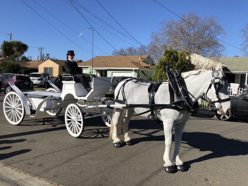Hire Grand Carriages Horse Drawn Carriage in Livermore, California
