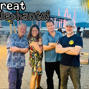 Great Elephants - Party Band in Mamaroneck, New York