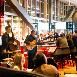 Sonic Dream Jazz Trio - Jazz Band / Wedding Musicians in St Paul, Minnesota