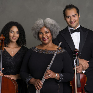 Greenleaf Pro Musica - Classical Ensemble in Evanston, Illinois