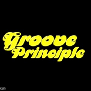 Groove Principle - Cover Band in Orlando, Florida