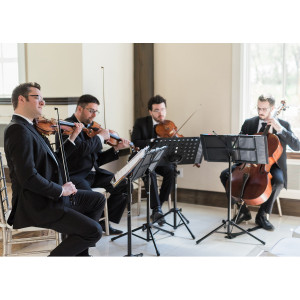 GTA Strings - String Quartet in Toronto, Ontario