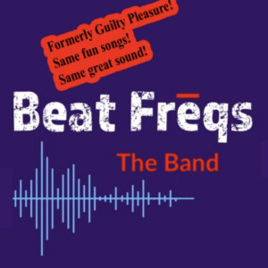 Beat Freqs - Cover Band / Wedding Musicians in Muskegon, Michigan