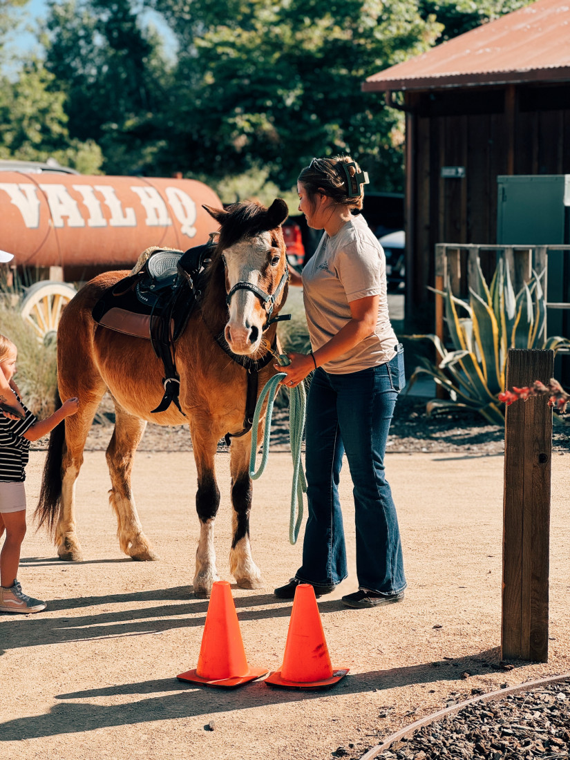 Gallery photo 1 of Haley’s Petting Zoo