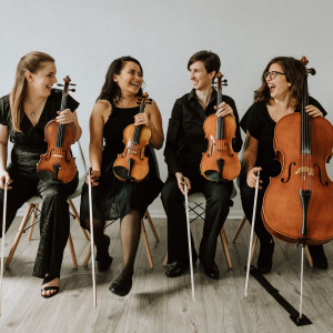 Boom Island String Quartet - String Quartet / Wedding Entertainment in Minneapolis, Minnesota