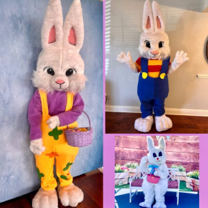 Happily Ever Parties & Entertainment - Easter Bunny / Patriotic Entertainment in Dallas, Texas