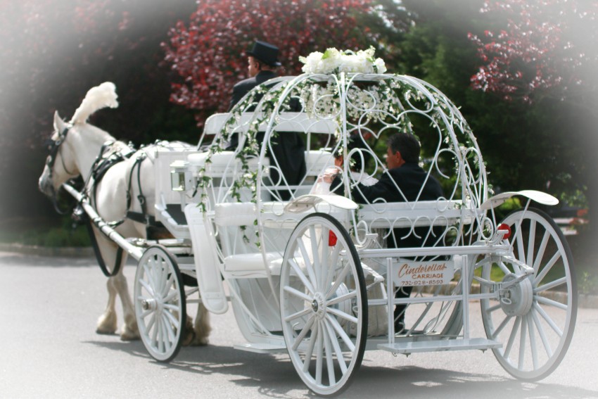 glitzeez horse and carriage