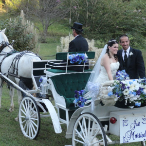 Happy Trails Horse and Carriage - Horse Drawn Carriage / Wedding Services in Vale, North Carolina