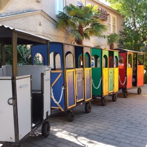 Happy Trails Rail - Trackless Train in Midlothian, Texas