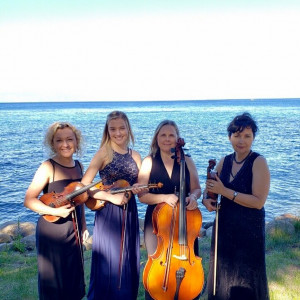 Harmony Strings - String Quartet / String Trio in Sacramento, California