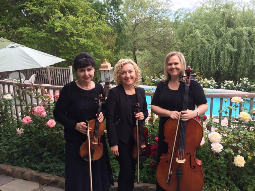 Hire Harmony Strings String Quartet in Sacramento, California
