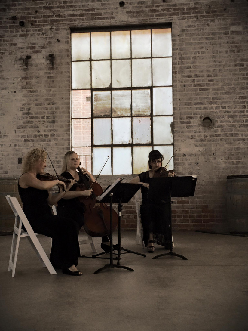 Hire Harmony Strings String Quartet in Sacramento, California