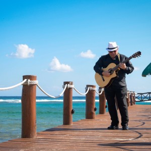 Harmony Entertainment Inc - Jazz Band / Holiday Party Entertainment in Clearwater, Florida