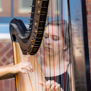 Joanna Lauer, Harpist