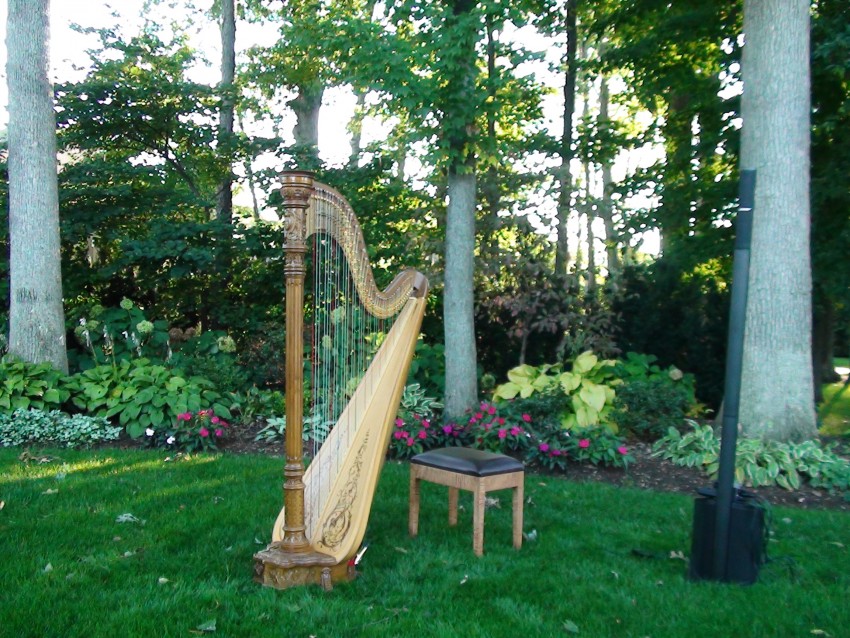 Hire Harp to Harp Harpist in Springfield, Missouri