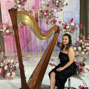 Iliana Hagenah Harp - Harpist in Washington, District Of Columbia