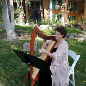 Harpist-Miriam Shilling - Harpist in Glens Falls, New York
