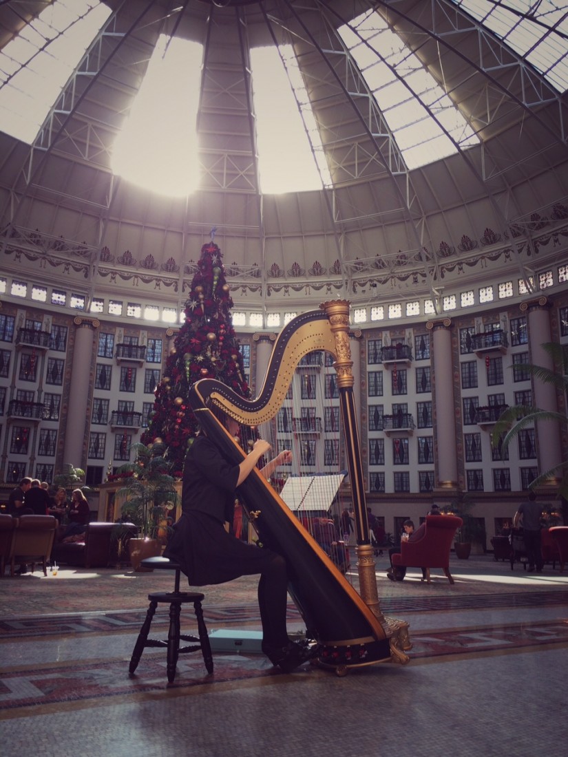 Gallery photo 1 of Harpist - Molly Jones