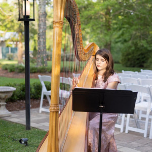 Harpist for all Occasions - Harpist / Wedding Musicians in New Orleans, Louisiana