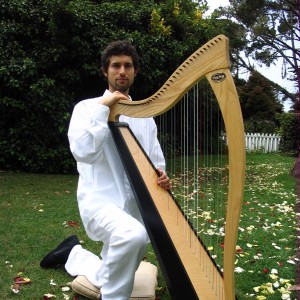 Harpist For The Monterey Bay/ Bay Area