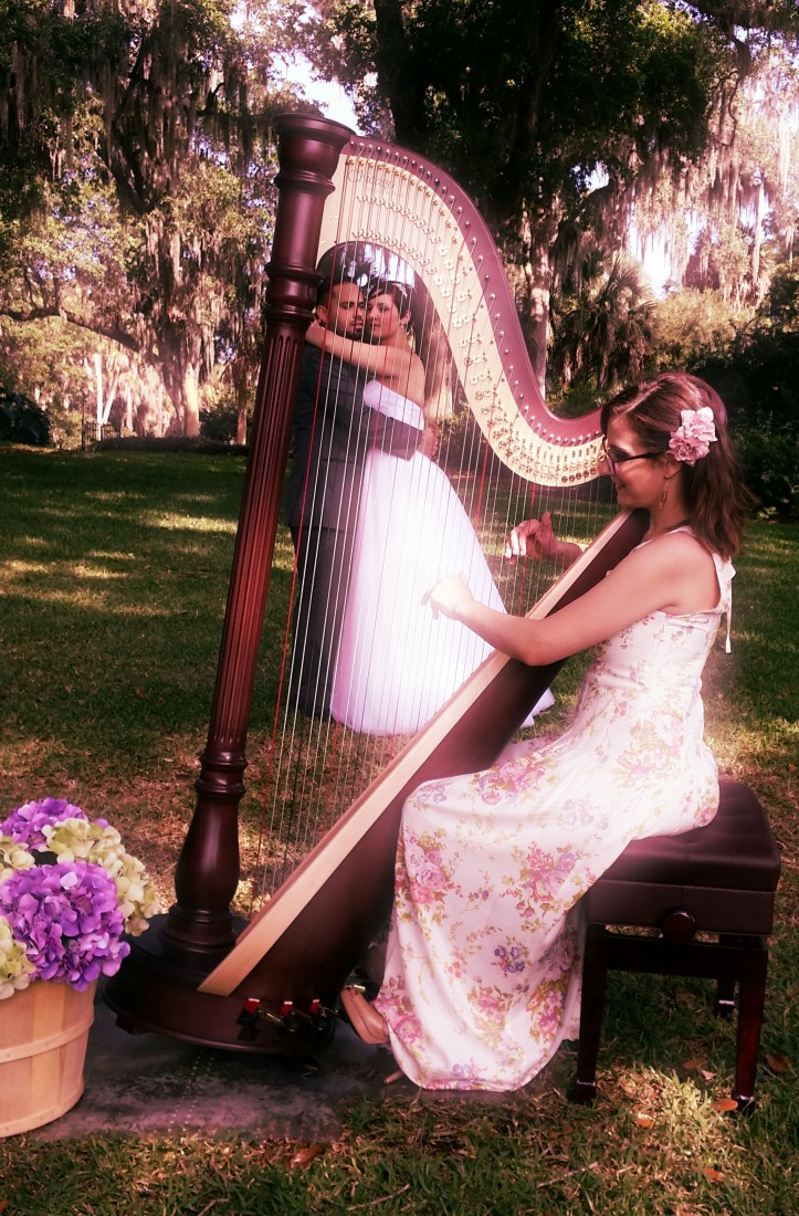 Gallery photo 1 of Harpist Kristen Elizabeth