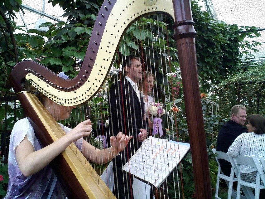 Gallery photo 1 of Harpist Laura Neil