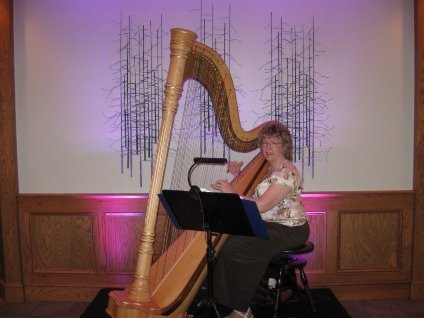 Hire Harpist Serena O'Meara Harpist in Eau Claire, Wisconsin
