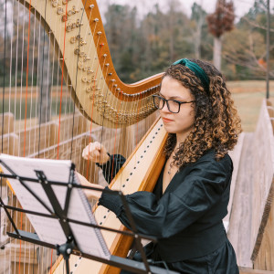 Harps of Praise - Harpist / Celtic Music in Marietta, Georgia