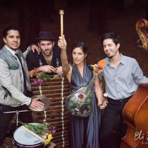 Heather Normandale Band - Indie Band / Bluegrass Band in Berkeley, California