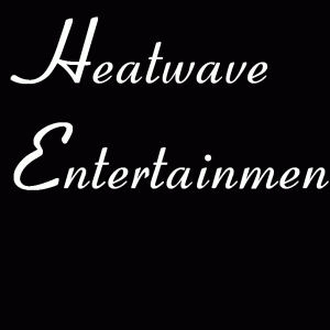 HeatwavEntertainment - Wedding DJ in Nashville, Tennessee