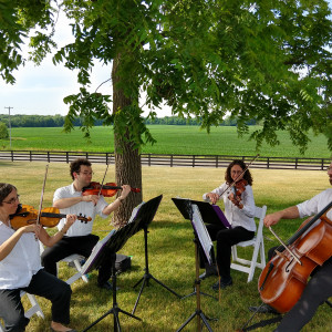 Heritage Hill String Quartet - String Quartet / Wedding Entertainment in Grand Rapids, Michigan