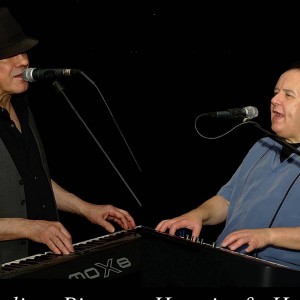 Hermie and Harry's Dueling Pianos - Dueling Pianos / Pianist in Pittsburgh, Pennsylvania