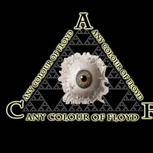 Any Colour of Floyd - Pink Floyd Tribute Band in Buffalo, New York