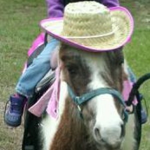 Pony Rides with Hidden Creek Farms Animal Rescue - Pony Party in Clermont, Florida