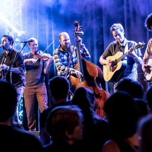 The Warren G. Hardings - Bluegrass Band in Seattle, Washington